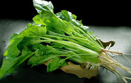 Ģ
