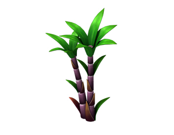 ù