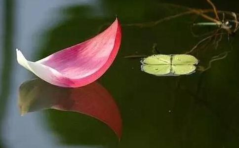 ʥϷʦν߾֧߾֧