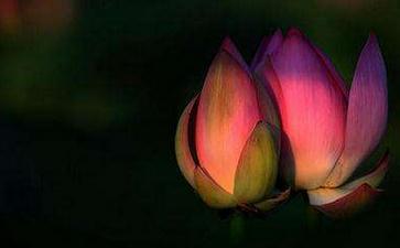 ңҸ£