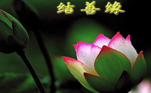 ŷ¶Ե