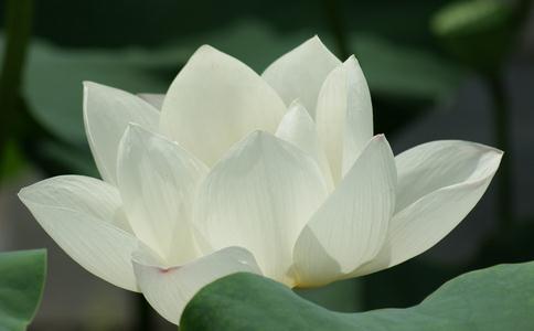 ܱ