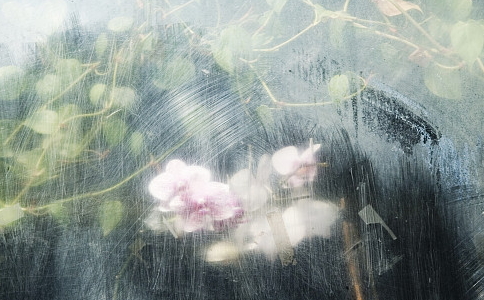 108̾