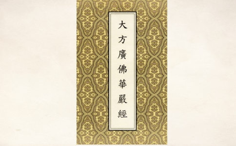 ˵Ѫ顶Ͼ