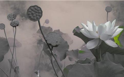 ˻űҪ֪ж