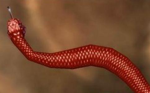 ʾ
