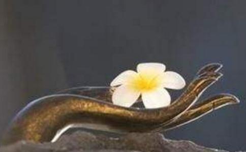 ŷѧɷ