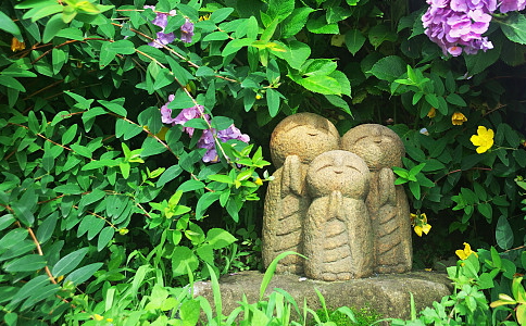 Ǻʦʦ֮·