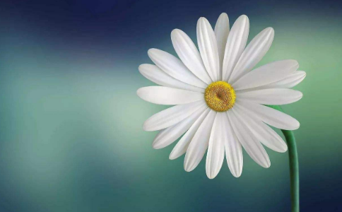 Ƹӣʵֻȱѵ