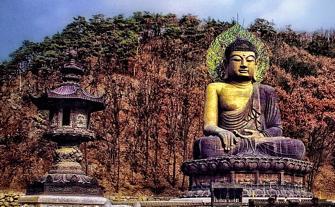 淨ʦӷ֮