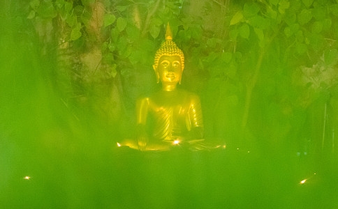 ʲô˼ʲôǿ磿