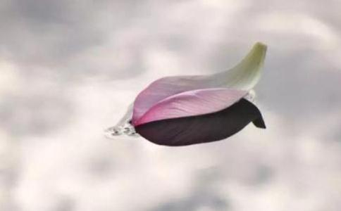 ȥԵֿ ڹ¹סѧ
