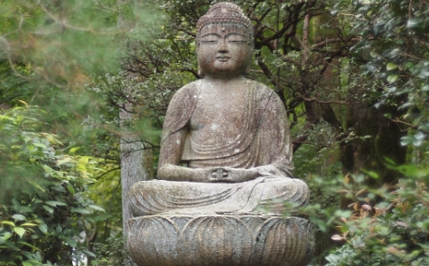 ƷʦΪʲôʧģ