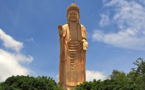 ƴʦĹô