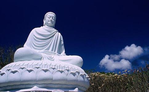 Դʦʲôܹ