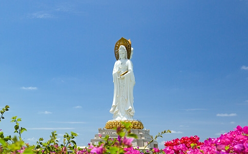 Դʦʲô