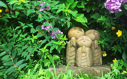 Դʦ䣬Լô죿