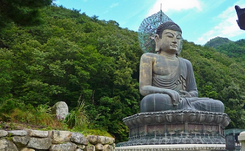 ƴʦʲô棿
