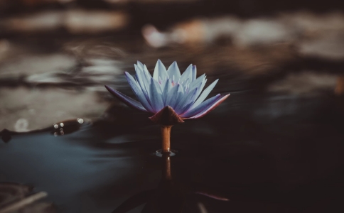 ƷʦĹϵ
