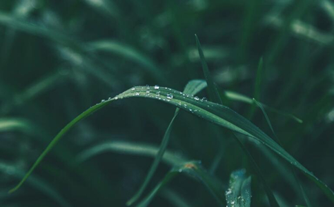 ƴʦһ־