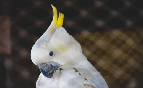 ʦһ̤ʵص