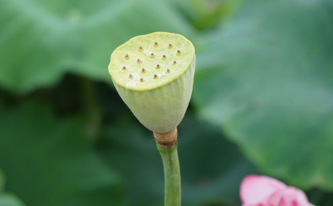 ׯʦʱҵʲô