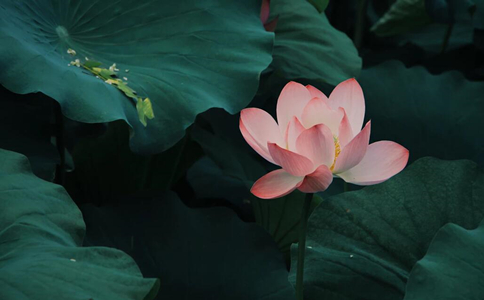 ɽʦʲô޸޸ȥ
