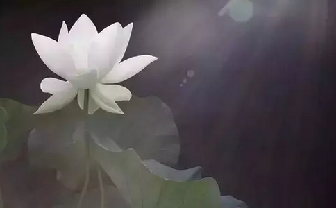 յ£뵽¡ľ