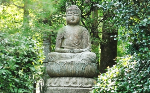 ʦĪѧĳ