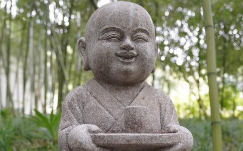 Ωʦʷʵ۲˼̵ʳ