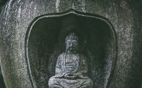 ɽʦٵʵ棨ڸƵ