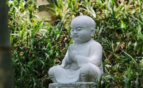 ͨʦҪ꡶ϾӶ編