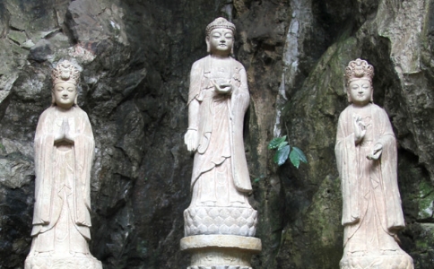 ʦΪʲôҪֽ䣿ʲô䣿
