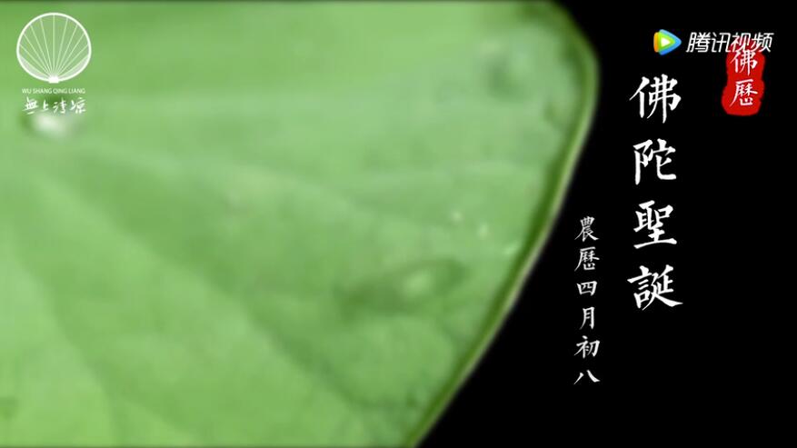 ֤˵к壿