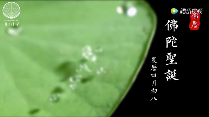 ӵĳ壿