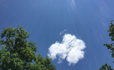 һƬ