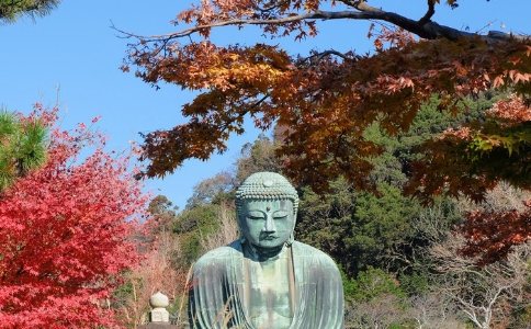 ᷨʦοŮݡװ磿