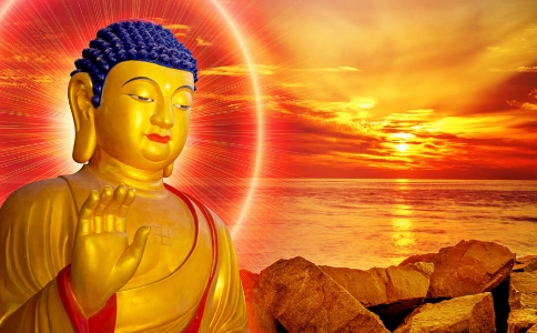 ѧһҪҲܵö𣿳Һڼҵ