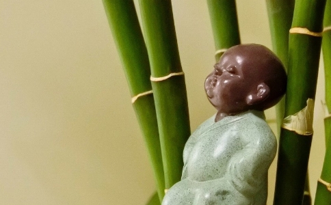 ܺ뷨ʦΪ϶һЩɹͿ֣