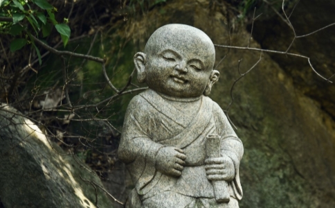 ʦʲôôѧģ