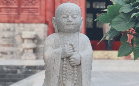 ʦĵڣӦ¹