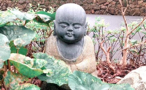 Ʒʦģ˳澳