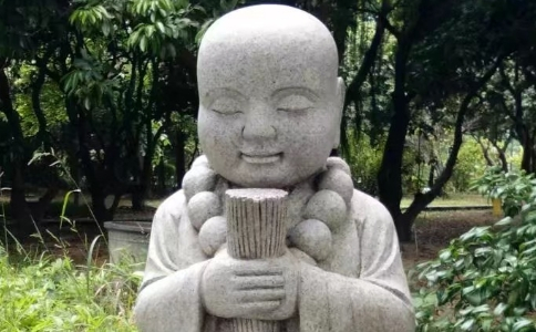 Դʦ˳ΪʲôҲҪ裿