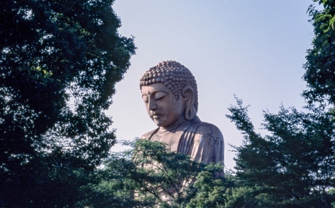 Դʦޱɫʲô˼ʲôޱɫɫ֮ޱɫ