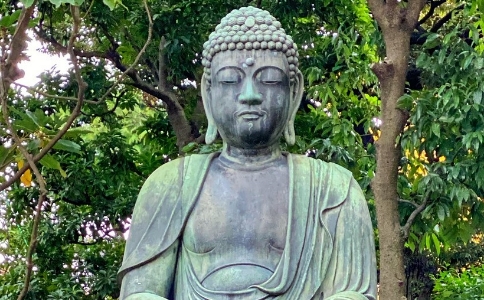 зʦԼģô죿