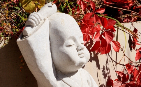ᷨʦڿһܽ