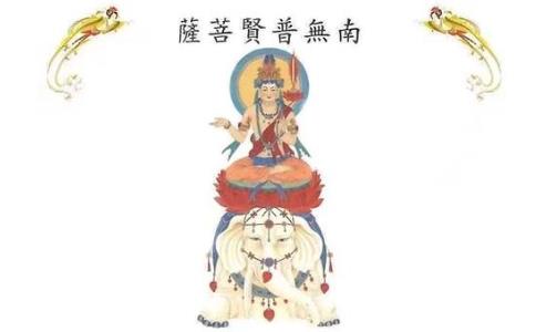 編ʦԸһҲǻ