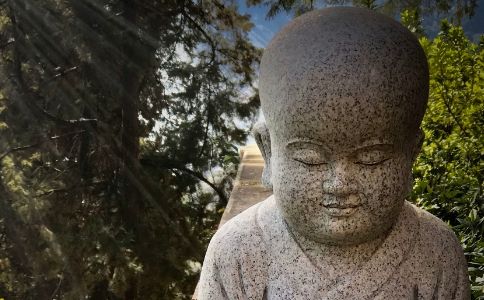 Դʦɹؾʲôľ