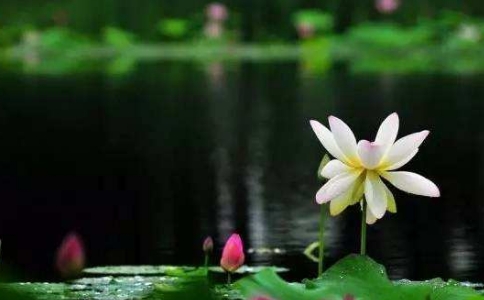 ڵڰ˴ʦشʦ