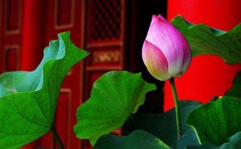 ƹ۲졢徻湩
